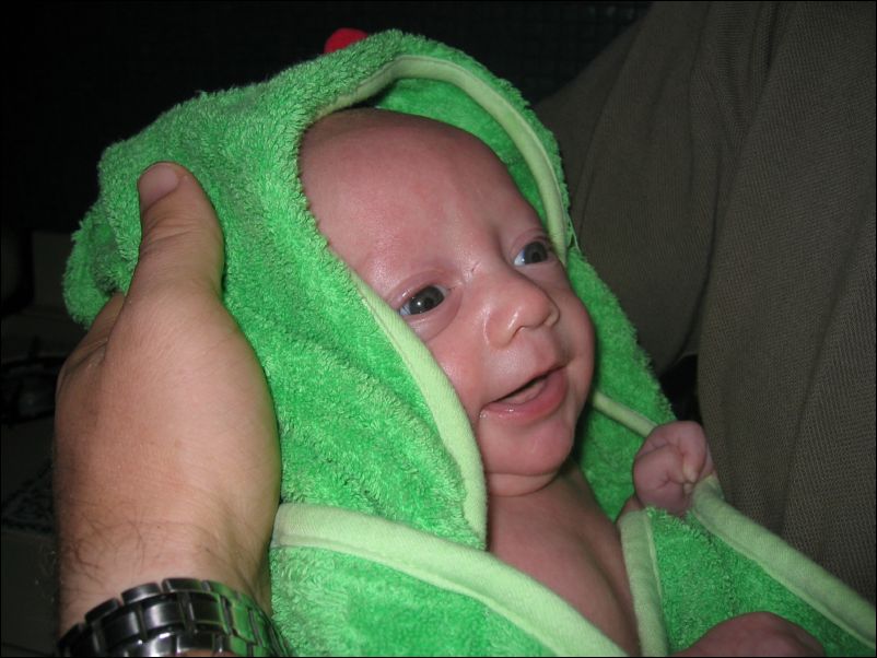 Happy, clean, froggy Sebastian